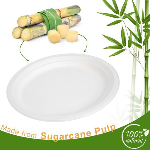 25 Pack Bagasse White Oval Serving Trays/Platters - Decodine
