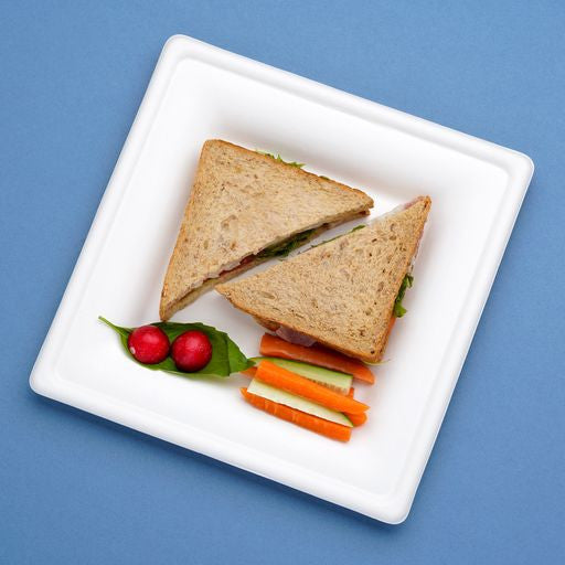 50 Pack 10" Square Bagasse White Disposable Plates/Trays - Decodine