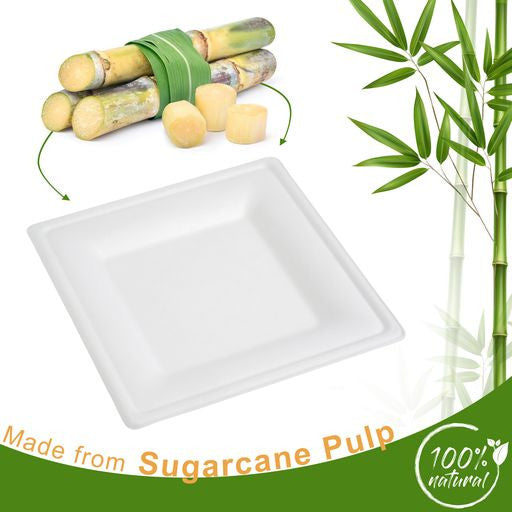 50 Pack 10" Square Bagasse White Disposable Plates/Trays - Decodine