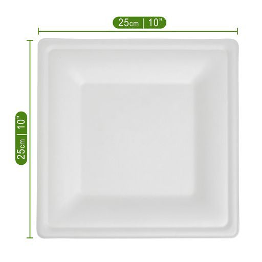 50 Pack 10" Square Bagasse White Disposable Plates/Trays - Decodine