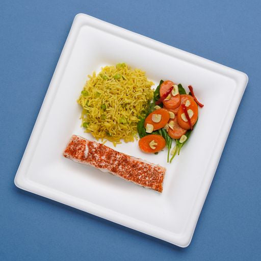 50 Pack 10" Square Bagasse White Disposable Plates/Trays - Decodine