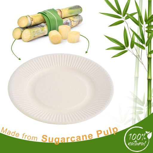 50 Pack 8" Round Disposable Bagasse Plates - Decodine