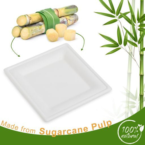 50 Pack 8" Square Bagasse Disposable White Plates - Decodine