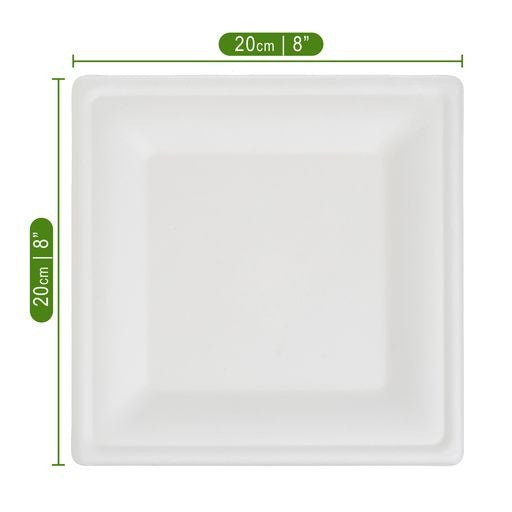 50 Pack 8" Square Bagasse Disposable White Plates - Decodine