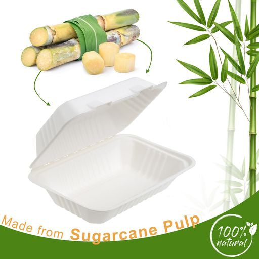 50 Pack 9x6" Food Storage/Takeaway Hinged Clamshell Containers - Decodine