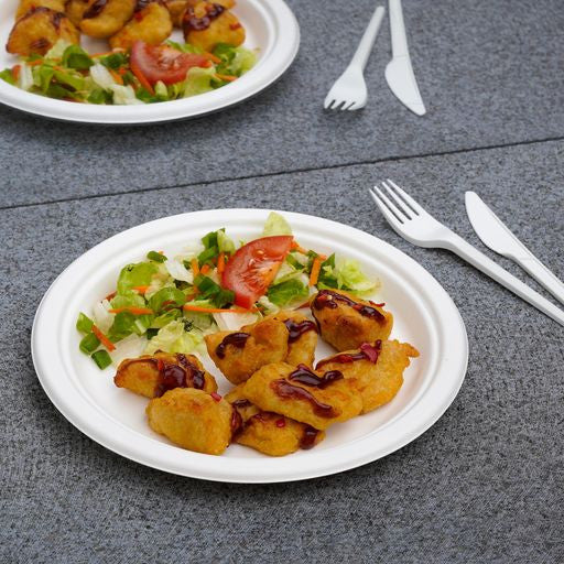 50 Pack White Biodegradable Bagasse 9 inch Disposable Dinner Plates - Decodine