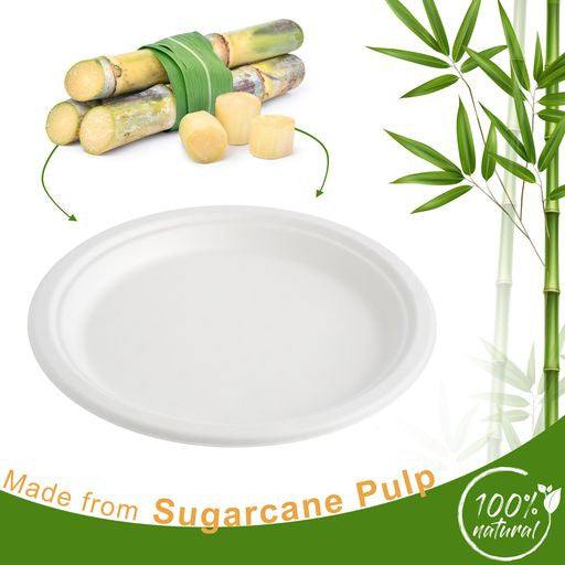 50 Pack White Biodegradable Bagasse 9 inch Disposable Dinner Plates - Decodine