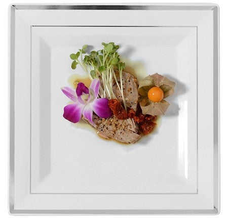 10 Pack 10" Square Plastic Dinner Plates - White Silver Rim - Decodine