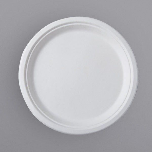 125 Pack 10" Round Bagasse Biodegradable White Disposable Plates - Decodine