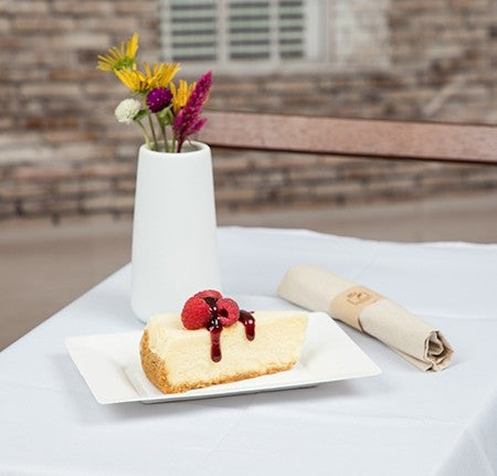 125 Pack 7.5" x 5.5" Rectangular Bagasse Biodegradable White Disposable Plates - Decodine