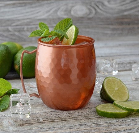 4 Pack 16oz Plastic Moscow Mule Mugs - Decodine
