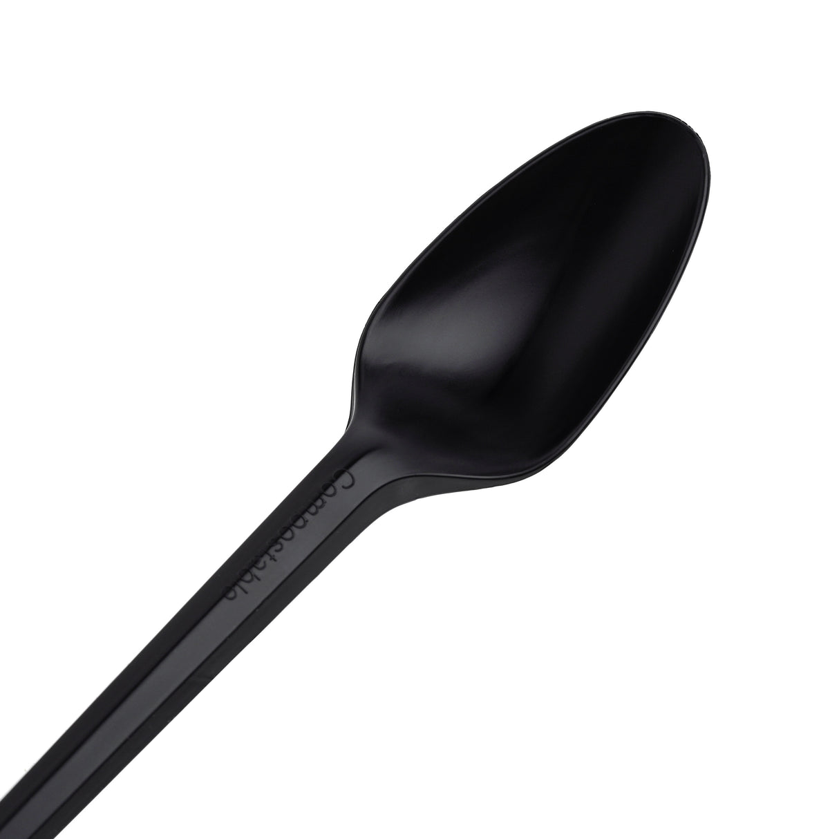Pack of 150 6" Black CPLA biodegradable Disposable Spoons - Decodine