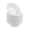 100 Pack 5oz Small White Lightweight Plastic Dessert Bowls