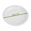 100 Pack White Lightweight Plastic Plates 9"