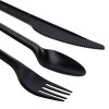 150pcs Cutlery Set Black Biodegradable CPLA Spoons Forks & Knives