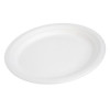 25 Pack Bagasse White Oval Serving Trays/Platters