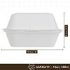 50 Pack 6" x 6" Burger Clamshell Hinged Bagasse Containers