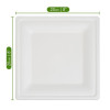 50 Pack 8" Square Bagasse Disposable White Plates