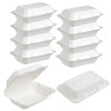 50 Pack 9x6" Food Storage/Takeaway Hinged Clamshell Containers