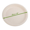 50 Pack Natural Colored Biodegradable Bagasse 10 inch Disposable Dinner Plates