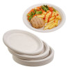 50 Pack Natural Colored Biodegradable Bagasse 9 inch Disposable Dinner Plates