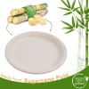 50 Pack Natural Colored Biodegradable Bagasse 9 inch Disposable Dinner Plates