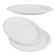 50 Pack White Biodegradable Bagasse 10 inch Disposable Dinner Plates