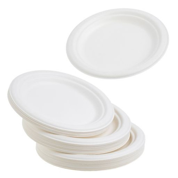 50 Pack White Biodegradable Bagasse 7 inch Disposable Side Plates