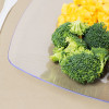 10 Pack 10" Square Plastic Clear Dinner Plates