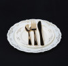 10 Pack 10.25" Round Hard Plastic Plates Bone / Ivory Plastic Plate with Gold Embossed Trim