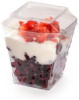 10 Pack 5.4oz Plastic Dessert Cups/Pots with Lids