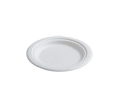 125 Pack 6" Round Bagasse Biodegradable White Disposable Plates