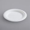 125 Pack 6" Round Bagasse Biodegradable White Disposable Plates