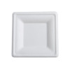 125 Pack 8" Square Bagasse Biodegradable White Disposable Plates