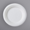 125 Pack 9" Round Bagasse Biodegradable White Disposable Plates