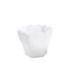 1.75 Mini Hexagon Cup 10 Pack