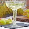 20 Pack 4oz Plastic Old Fashioned Champagne Cocktail 2 Piece Plastic Glasses