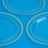 20 Pack 10" Hard Plastic Dinner Plates  with Gold Rim