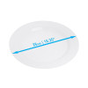 20 Pack 10.25" White Hard Plastic Dinner Plates