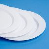 20 Pack 10.25" White Hard Plastic Dinner Plates