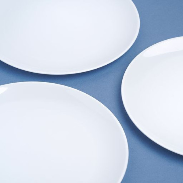20 Pack 10.5" Plastic White Plates