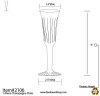 8 Pack 5oz Plastic Champagne Flutes (one piece)