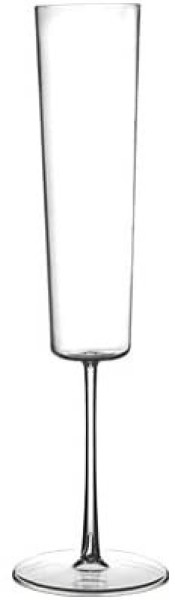 6 Pack 7oz Modern Design Plastic Champagne Flutes - Plastic Wine Glasses